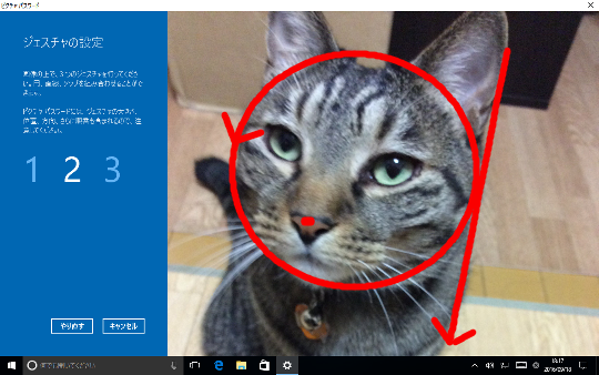 Windows 10のピクチャログオン